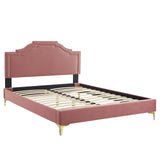 Modway Furniture Adelaide Performance Velvet Queen Platform Bed 0423 Dusty Rose MOD-6580-DUS