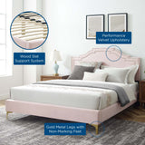 Modway Furniture Adelaide Performance Velvet Queen Platform Bed 0423 Pink MOD-6580-PNK