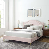 Modway Furniture Adelaide Performance Velvet Queen Platform Bed 0423 Pink MOD-6580-PNK