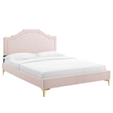 Modway Furniture Adelaide Performance Velvet Queen Platform Bed 0423 Pink MOD-6580-PNK