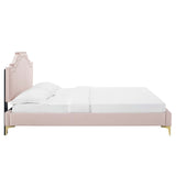 Modway Furniture Adelaide Performance Velvet Queen Platform Bed 0423 Pink MOD-6580-PNK