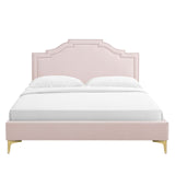 Modway Furniture Adelaide Performance Velvet Queen Platform Bed 0423 Pink MOD-6580-PNK