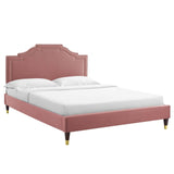 Modway Furniture Adelaide Performance Velvet Queen Platform Bed 0423 Dusty MOD-6581-DUS