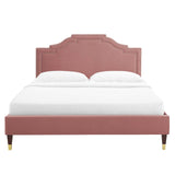 Modway Furniture Adelaide Performance Velvet Queen Platform Bed 0423 Dusty MOD-6581-DUS