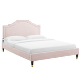 Modway Furniture Adelaide Performance Velvet Queen Platform Bed 0423 Pink MOD-6581-PNK