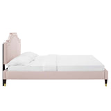 Modway Furniture Adelaide Performance Velvet Queen Platform Bed 0423 Pink MOD-6581-PNK