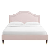 Modway Furniture Adelaide Performance Velvet Queen Platform Bed 0423 Pink MOD-6581-PNK