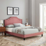 Modway Furniture Adelaide Performance Velvet Queen Platform Bed 0423 Dusty Rose MOD-6582-DUS