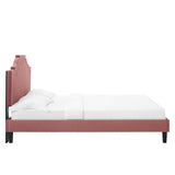 Modway Furniture Adelaide Performance Velvet Queen Platform Bed 0423 Dusty Rose MOD-6582-DUS