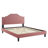 Modway Furniture Adelaide Performance Velvet Queen Platform Bed 0423 Dusty Rose MOD-6582-DUS