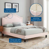 Modway Furniture Adelaide Performance Velvet Queen Platform Bed 0423 Pink MOD-6582-PNK