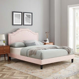 Modway Furniture Adelaide Performance Velvet Queen Platform Bed 0423 Pink MOD-6582-PNK