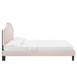 Modway Furniture Adelaide Performance Velvet Queen Platform Bed 0423 Pink MOD-6582-PNK