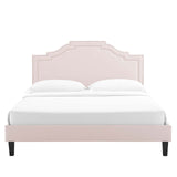 Modway Furniture Adelaide Performance Velvet Queen Platform Bed 0423 Pink MOD-6582-PNK