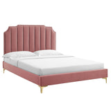 Modway Furniture Colette Queen Performance Velvet Platform Bed 0423 Dusty Rose MOD-6583-DUS