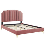 Modway Furniture Colette Queen Performance Velvet Platform Bed 0423 Dusty Rose MOD-6583-DUS