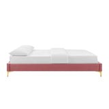 Modway Furniture Colette Queen Performance Velvet Platform Bed 0423 Dusty Rose MOD-6583-DUS