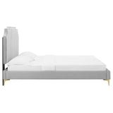 Modway Furniture Colette Queen Performance Velvet Platform Bed 0423 Light Gray MOD-6583-LGR