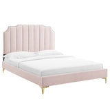 Modway Furniture Colette Queen Performance Velvet Platform Bed 0423 Pink MOD-6583-PNK