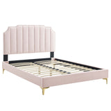 Modway Furniture Colette Queen Performance Velvet Platform Bed 0423 Pink MOD-6583-PNK