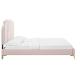 Modway Furniture Colette Queen Performance Velvet Platform Bed 0423 Pink MOD-6583-PNK