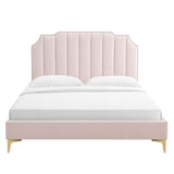 Modway Furniture Colette Queen Performance Velvet Platform Bed 0423 Pink MOD-6583-PNK