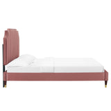 Modway Furniture Colette Queen Performance Velvet Platform Bed 0423 Dusty Rose MOD-6584-DUS