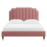 Modway Furniture Colette Queen Performance Velvet Platform Bed 0423 Dusty Rose MOD-6584-DUS