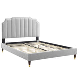 Modway Furniture Colette Queen Performance Velvet Platform Bed 0423 Light Gray MOD-6584-LGR