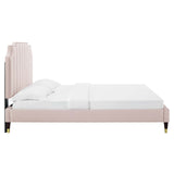 Modway Furniture Colette Queen Performance Velvet Platform Bed 0423 Pink MOD-6584-PNK