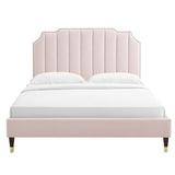 Modway Furniture Colette Queen Performance Velvet Platform Bed 0423 Pink MOD-6584-PNK