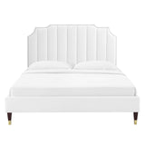 Modway Furniture Colette Queen Performance Velvet Platform Bed 0423 White MOD-6584-WHI