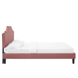 Modway Furniture Clara Performance Velvet Queen Platform Bed XRXT Dusty Rose MOD-6593-DUS