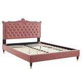 Modway Furniture Clara Performance Velvet Queen Platform Bed XRXT Dusty Rose MOD-6593-DUS