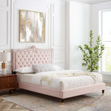 Modway Furniture Clara Performance Velvet Queen Platform Bed XRXT Pink MOD-6593-PNK