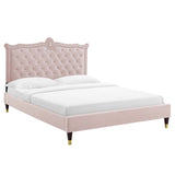 Modway Furniture Clara Performance Velvet Queen Platform Bed XRXT Pink MOD-6593-PNK