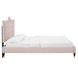 Modway Furniture Clara Performance Velvet Queen Platform Bed XRXT Pink MOD-6593-PNK