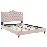 Modway Furniture Clara Performance Velvet Queen Platform Bed XRXT Pink MOD-6593-PNK