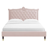 Modway Furniture Clara Performance Velvet Queen Platform Bed XRXT Pink MOD-6593-PNK