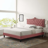 Modway Furniture Clara Performance Velvet Queen Platform Bed XRXT Dusty Rose MOD-6594-DUS