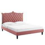 Modway Furniture Clara Performance Velvet Queen Platform Bed XRXT Dusty Rose MOD-6594-DUS