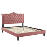 Modway Furniture Clara Performance Velvet Queen Platform Bed XRXT Dusty Rose MOD-6594-DUS