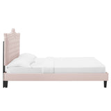 Modway Furniture Clara Performance Velvet Queen Platform Bed XRXT Pink MOD-6594-PNK