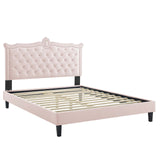 Modway Furniture Clara Performance Velvet Queen Platform Bed XRXT Pink MOD-6594-PNK