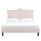 Modway Furniture Clara Performance Velvet Queen Platform Bed XRXT Pink MOD-6594-PNK