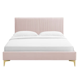 Peyton Performance Velvet Queen Platform Bed Pink MOD-6595-PNK