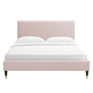 Peyton Performance Velvet Queen Platform Bed Pink MOD-6596-PNK