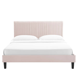 Peyton Performance Velvet Queen Platform Bed Pink MOD-6597-PNK