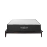 Aveline 12" Memory Foam Full Mattress White MOD-6599-WHI