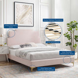 Lindsey Performance Velvet Queen Platform Bed Pink MOD-6703-PNK